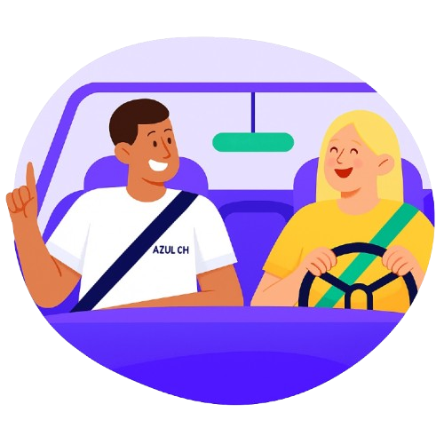 Driving Instructor